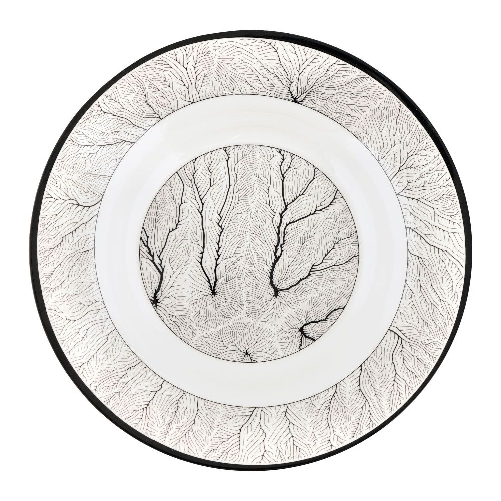 Patex Studios Gloss Deep Plate, 1-Pack, D5038